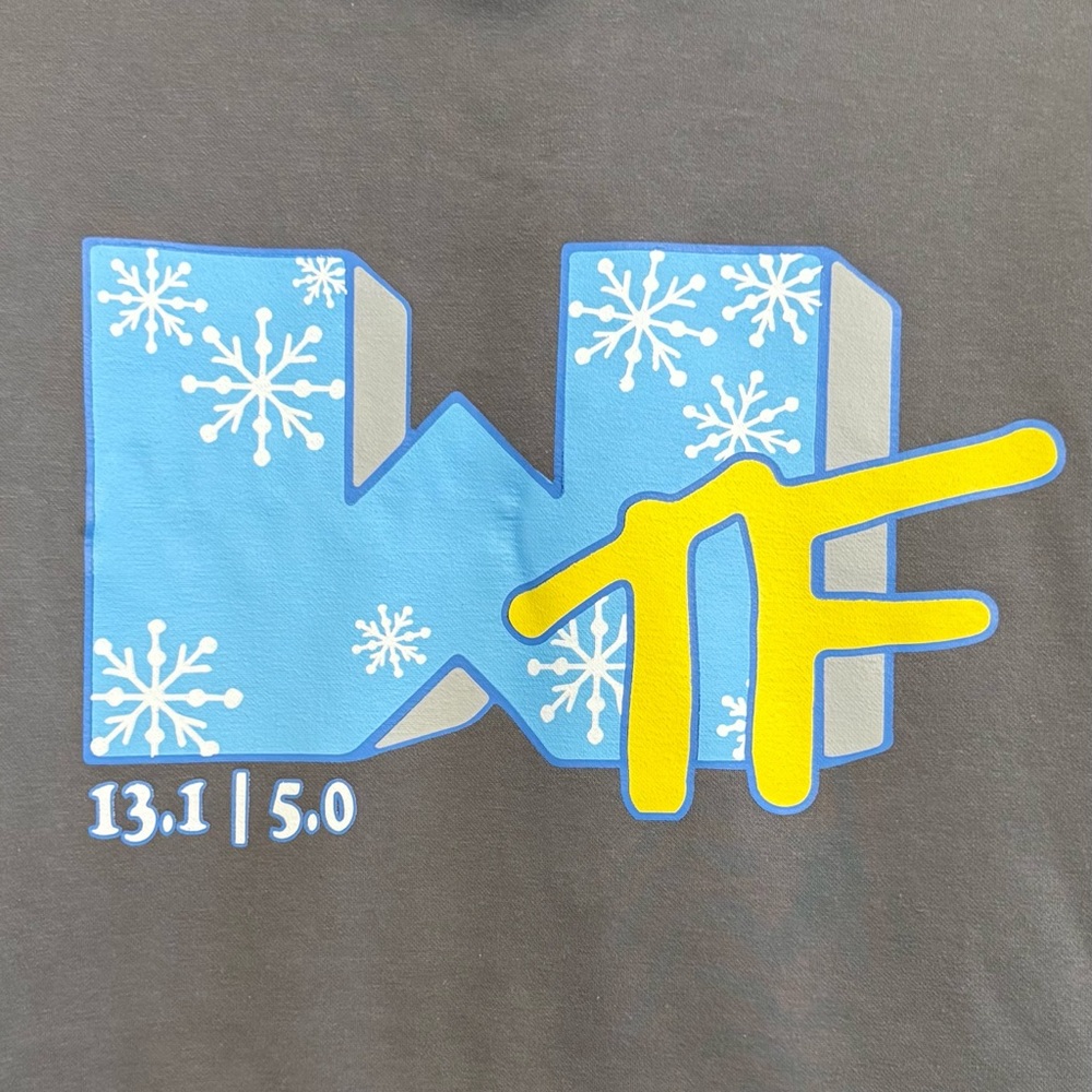 WTF Hoodie 3 for 15 SALE CLEARANCE Gray Sweatshirt Large